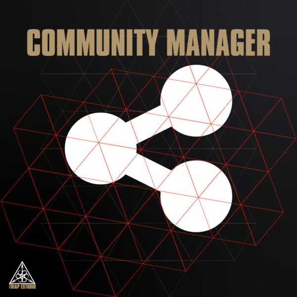 Con nuestro servicio de Social Media Manager o Community Manager, optimizamos tus redes y fomentamos relaciones auténticas, asegurando el éxito de tu negocio en el entorno digital.